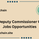 AJK Deputy Commissioner Office Jobs Opportunities